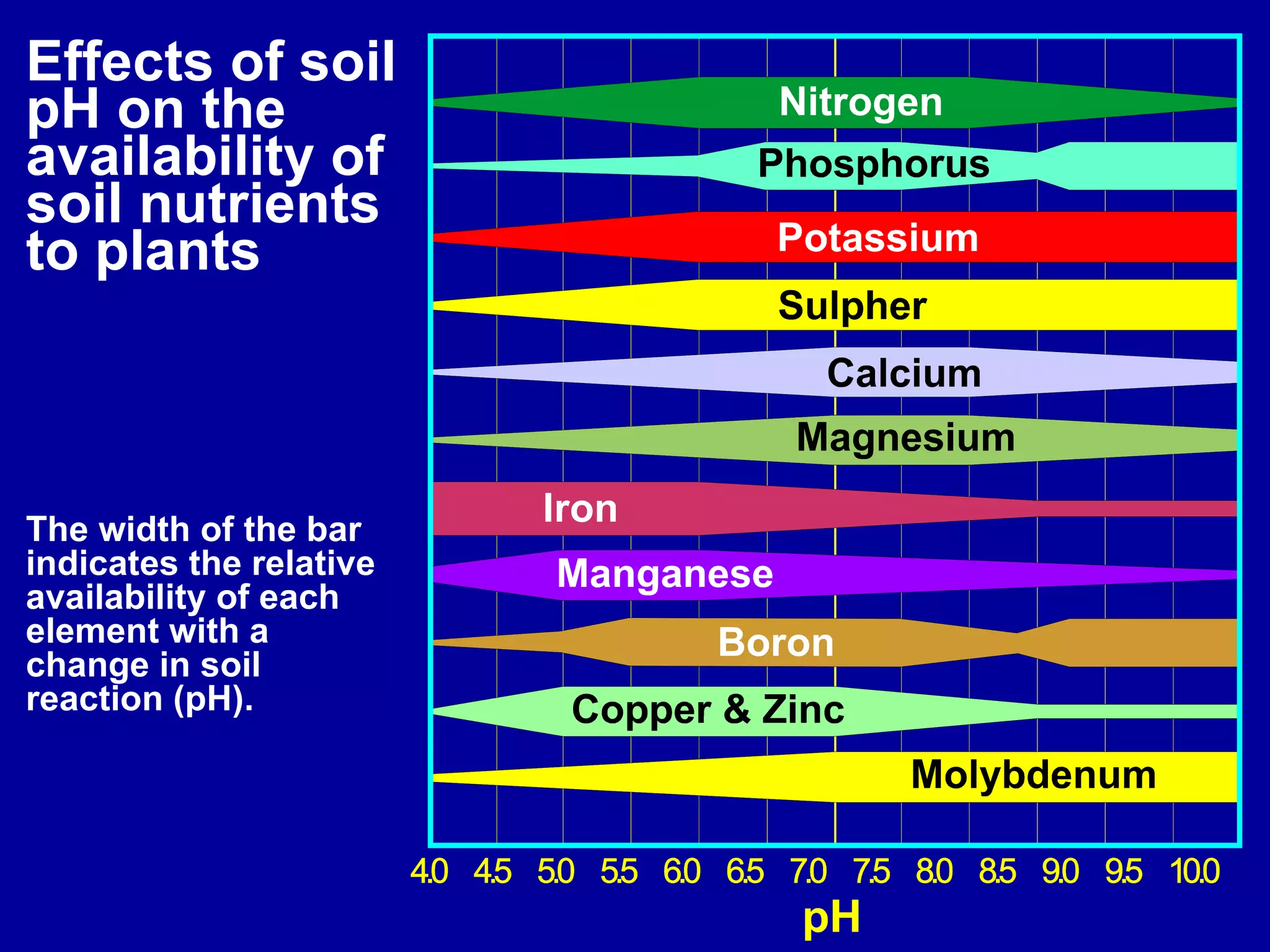 Effects of soil pH on the availability of soil nutrients to plants The width of the bar indicates the relative availability of each element with a change in soil reaction (pH). 