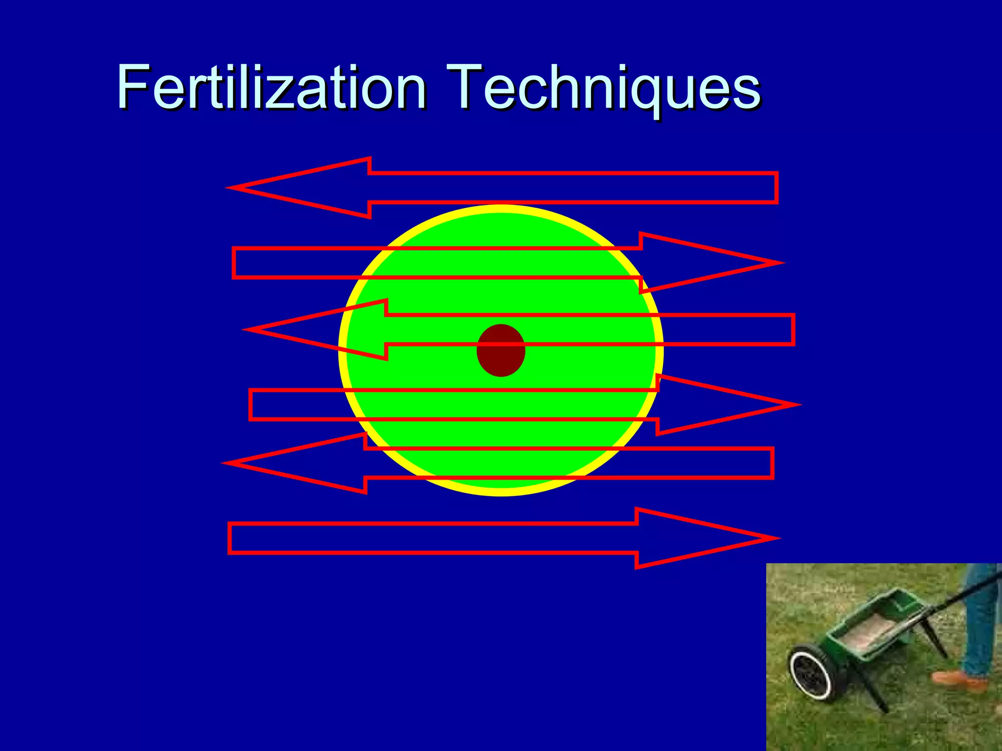 Fertilization Techniques 