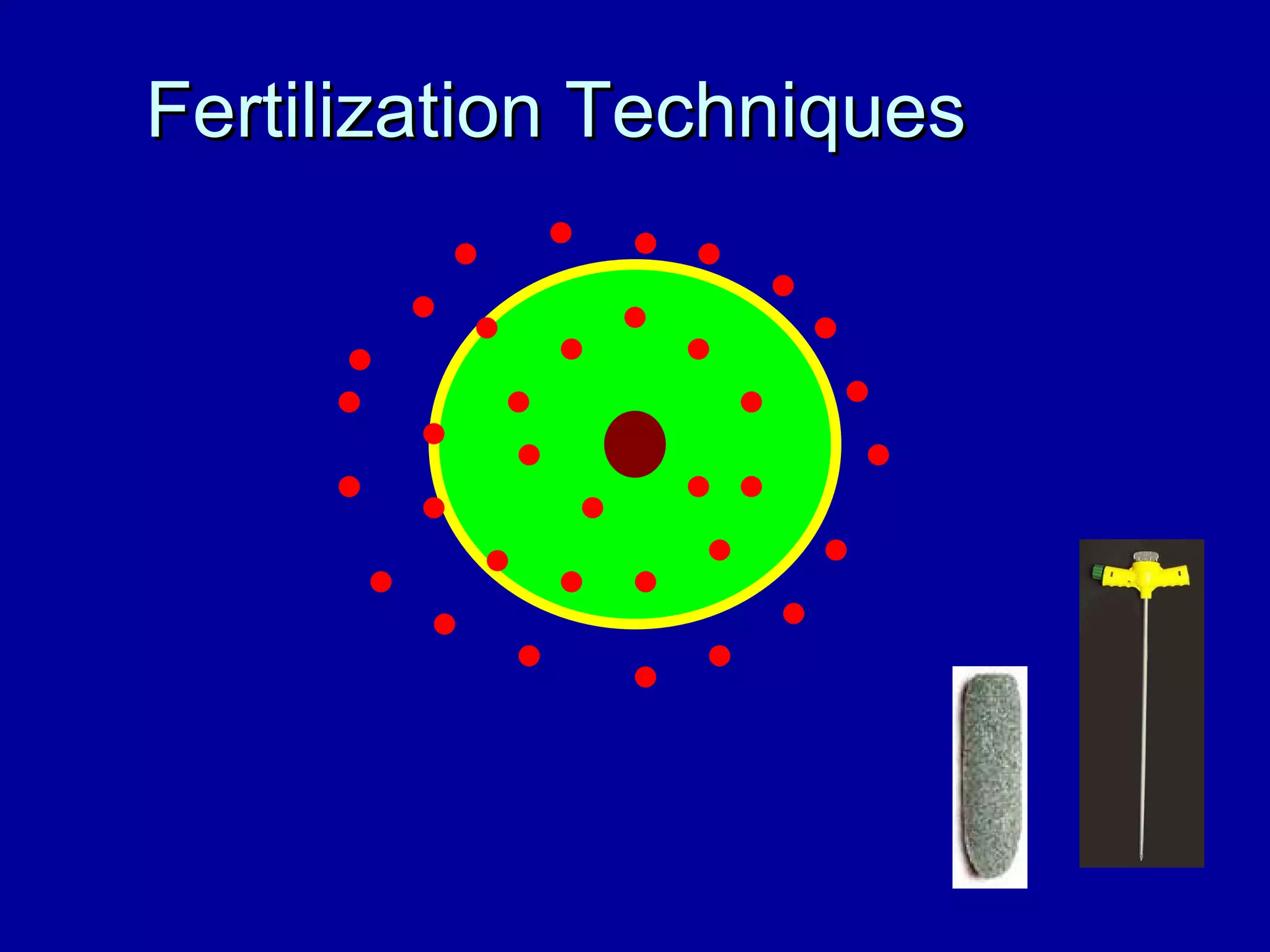 Fertilization Techniques 
