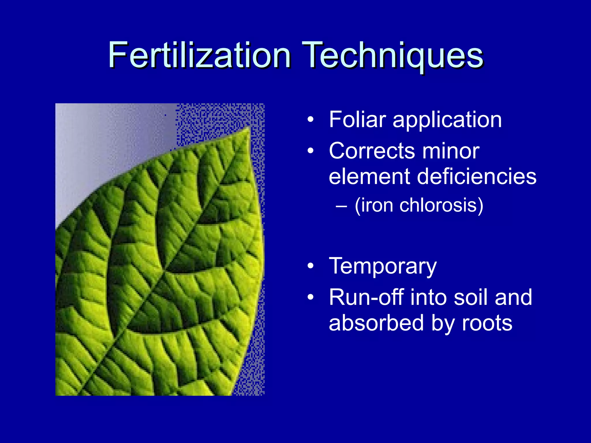 Fertilization Techniques Foliar application Corrects minor element deficiencies  (iron chlorosis) Temporary Run-off into soil and absorbed by roots 