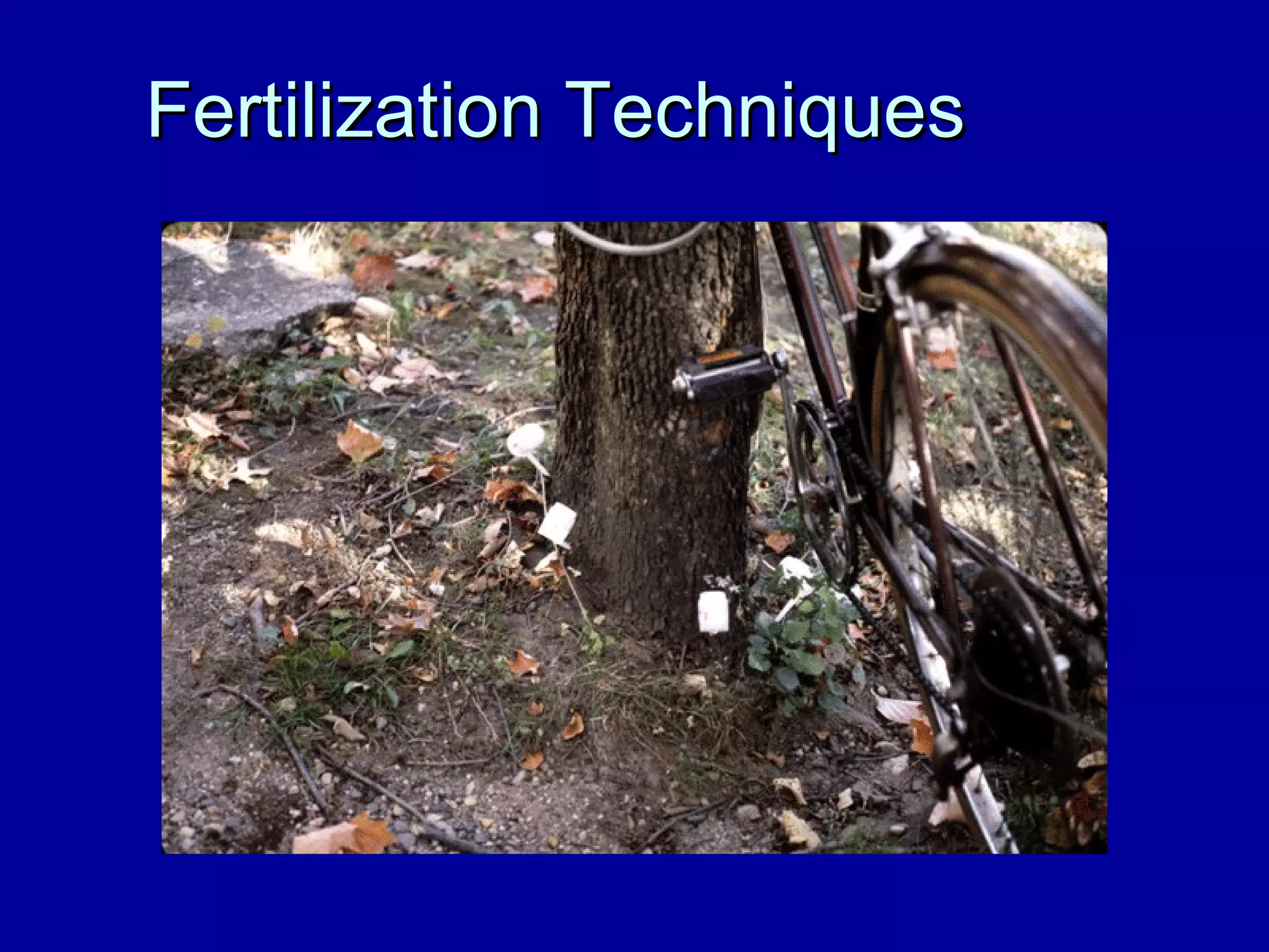 Fertilization Techniques 