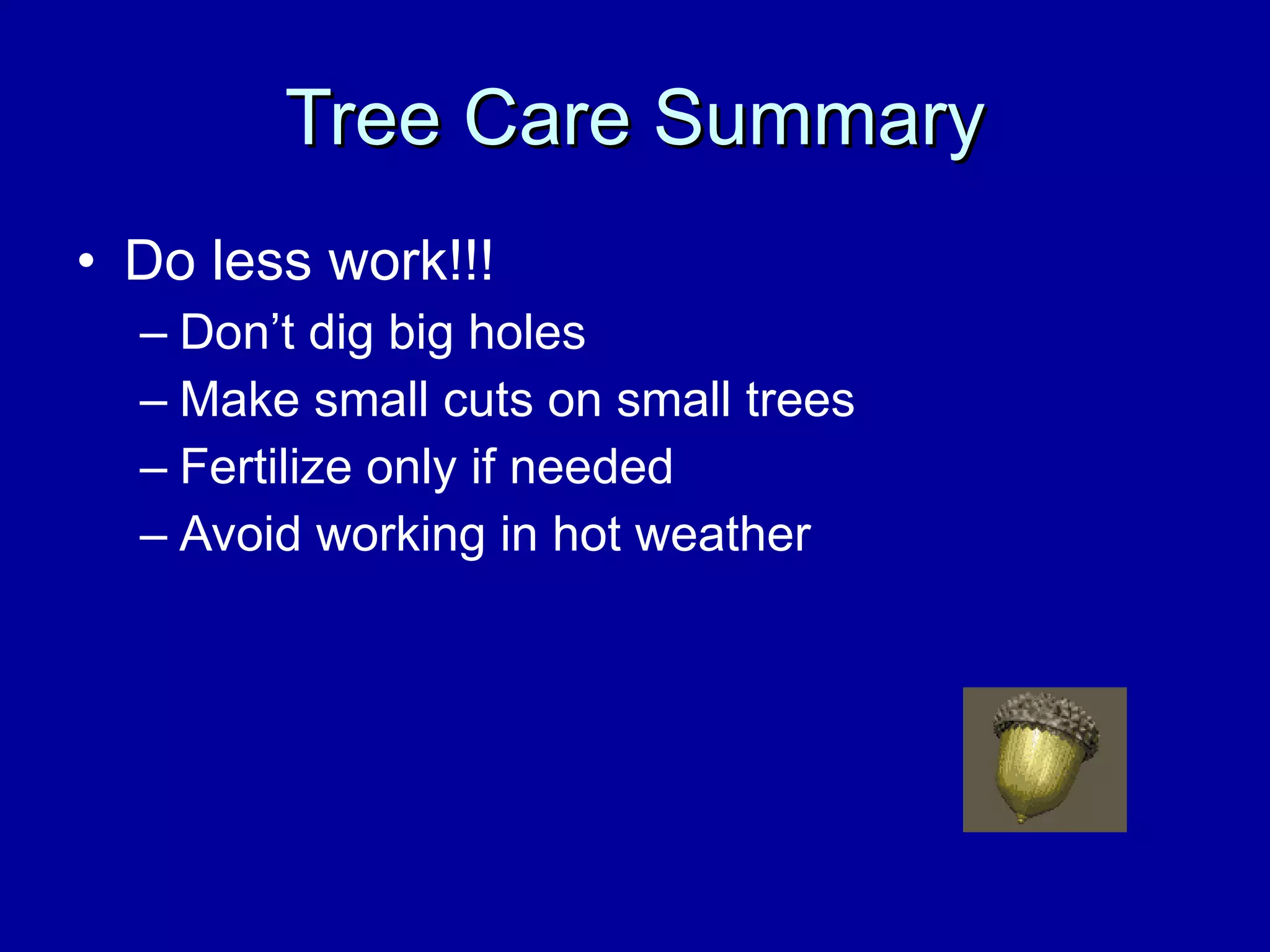 Tree Care Summary Do less work!!! Don’t dig big holes Make small cuts on small trees Fertilize only if needed Avoid working in hot weather                                                                                                               