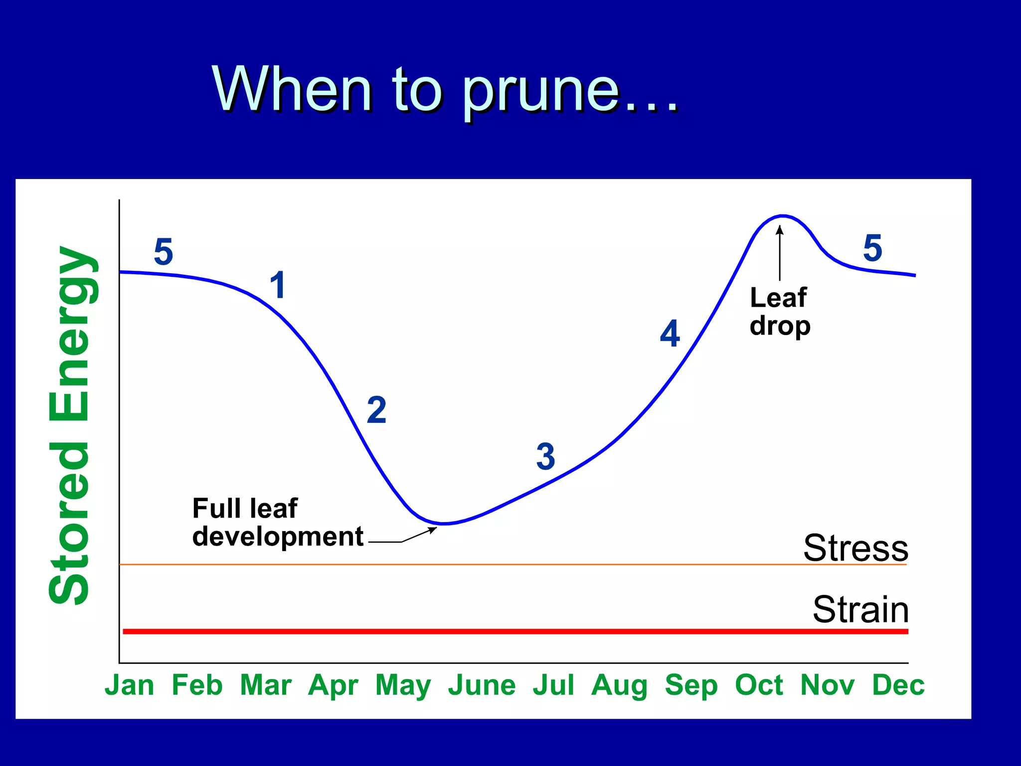 When to prune… 