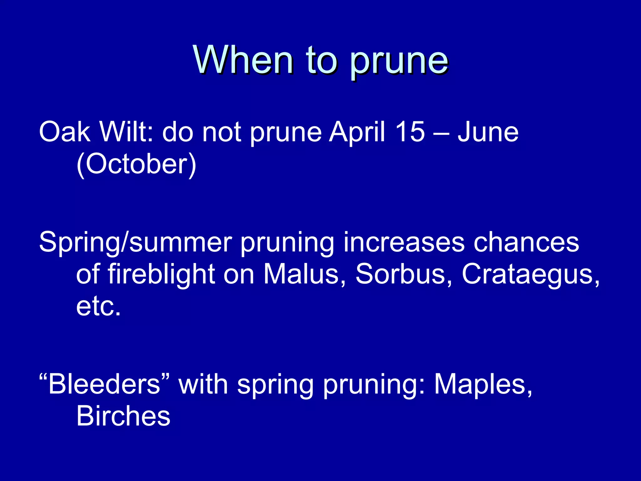 When to prune Oak Wilt: do not prune April 15 – June (October) Spring/summer pruning increases chances of fireblight on Malus, Sorbus, Crataegus, etc. “ Bleeders” with spring pruning: Maples, Birches 