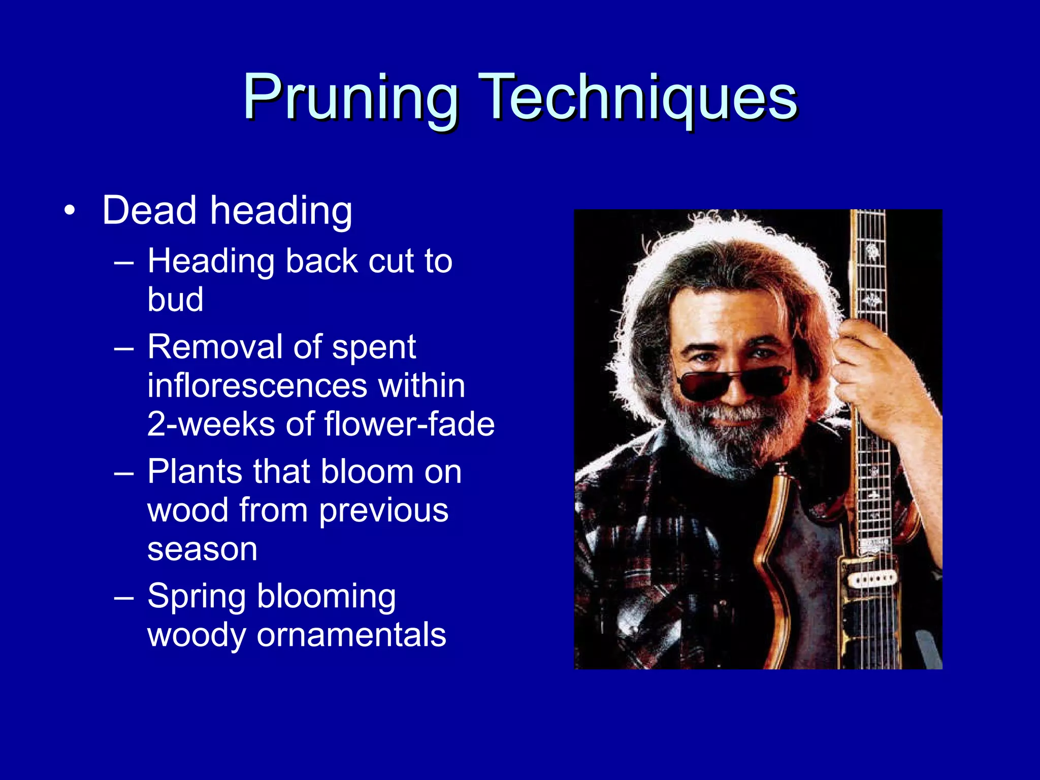Pruning Techniques Dead heading Heading back cut to bud Removal of spent inflorescences within 2-weeks of flower-fade Plants that bloom on wood from previous season Spring blooming woody ornamentals 