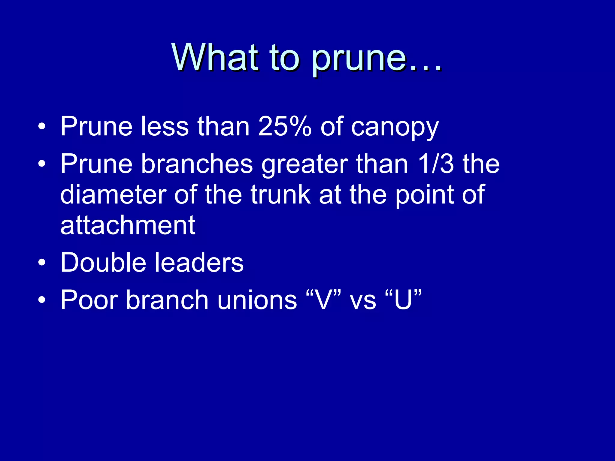 What to prune… Prune less than 25% of canopy Prune branches greater than 1/3 the diameter of the trunk at the point of attachment Double leaders Poor branch unions “V” vs “U” 