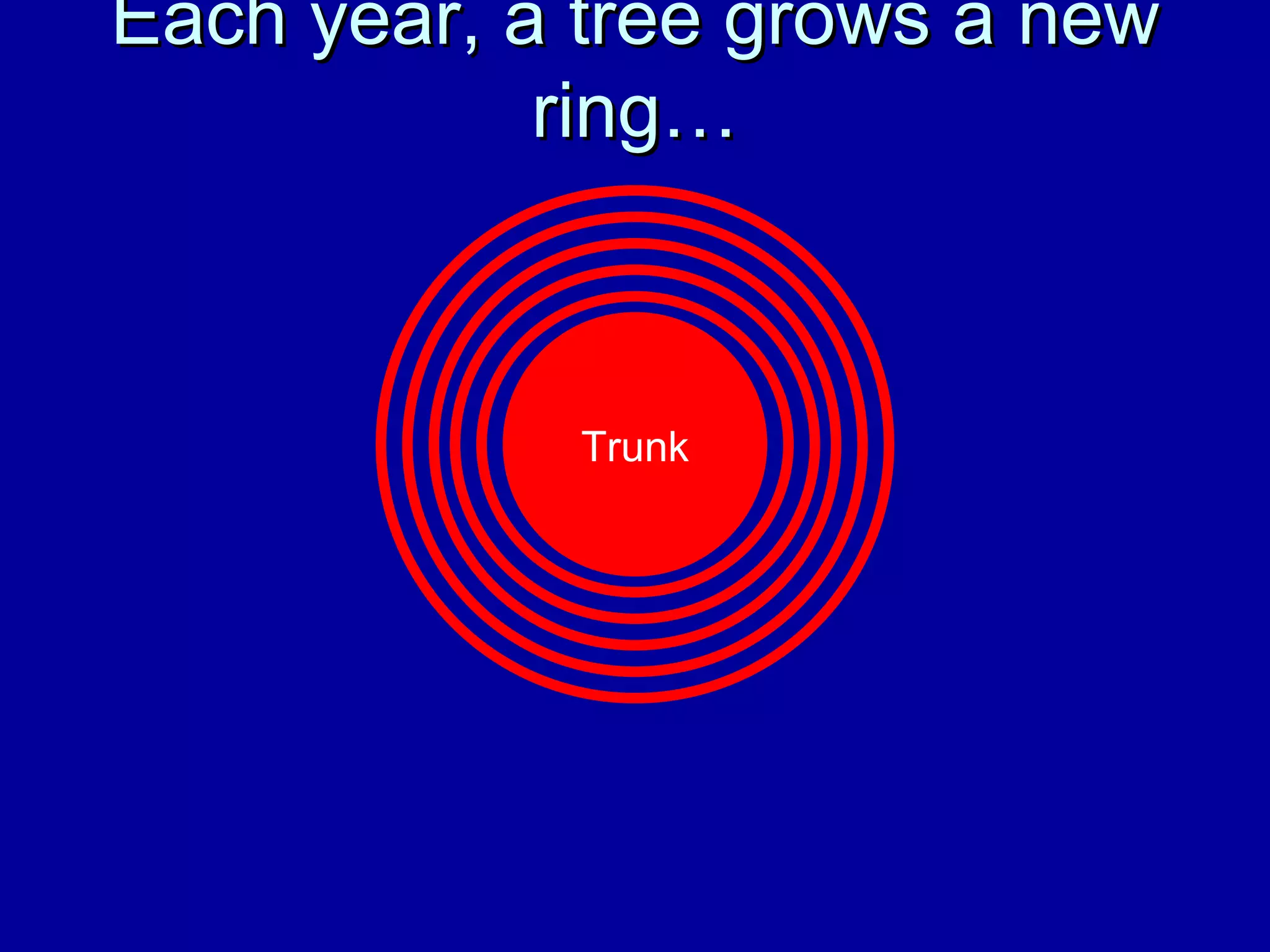 Each year, a tree grows a new ring… Trunk 