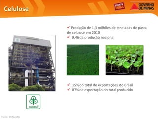 Celulose

                   Produção de 1,3 milhões de toneladas de pasta
                  de celulose em 2010
                   9,46 da produção nacional




                   15% do total de exportações do Brasil
                   87% de exportação do total produzido




Fonte: BRACELPA
 
