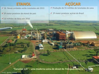 ETANOL                                       AÇÚCAR
 56 Novas unidades serão instaladas até 2013    Produção de 55 milhões de toneladas de cana

 3º maior produtor de etanol do país            2º maior produtor açúcar do Brasil

2,6 milhões de litros em 2010
                                                                               Fonte: SEAPA/CONAB , Abril 2009




              “Coruripe S/A” – uma moderna usina de álcool do Triângulo Mineiro
Fonte: SEAPA/ CONAB
 