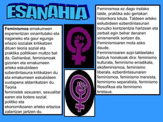 Feminismoa ez dago inolako talde, praktika edo gertakari historikora lotuta. Taldeen arteko eskubideen ezberdintasunari buruzko kontzientzia hartzean eta zerbait egin behar denaren sinismenetik sortzen da. Feminismoaren mota asko daude. Feminismoaren azpi-taldeetako batzuk honakoak dira: feminismo kulturala, feminismo erradikala, ekofeminismoa, feminismo liberala, ezberdintasunaren feminismoa, feminismo marxista, feminismo separatista, feminismo filosofikoa eta feminismo kristaua. Feminismoa  emakumeen esperientzian oinarritutako eta iraganeko eta gaur egungo erlazio sozialak kritikatzen dituen teoria sozial eta praktika politikoen multzo bat da. Gehienbat, feminismoak gizonen eta emakumeen arteko eskubideen ezberdintasuna kritikatzen du eta emakumeen eskubideen sustapena aldarrikatzen du. Teoria feministek sexuaren, sexualitatearen eta botere sozial, politiko eta ekonomikoaren arteko erlazioa zalantzan jartzen du. ESANAHIA 