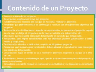 Contenido de un Proyecto
 