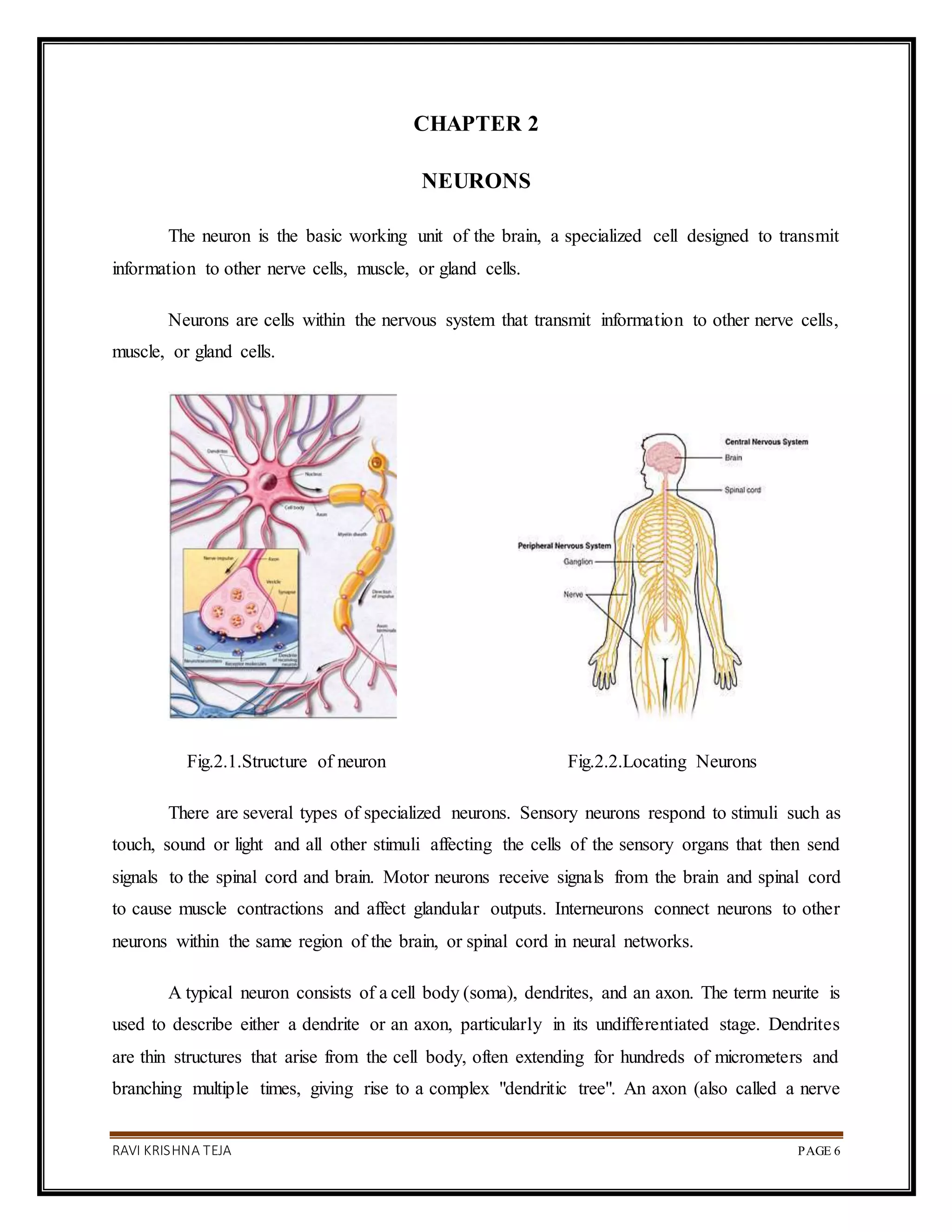 RAVI KRISHNA TEJA PAGE 6
CHAPTER 2
NEURONS
The neuron is the basic working unit of the brain, a specialized cell designed to transmit
information to other nerve cells, muscle, or gland cells.
Neurons are cells within the nervous system that transmit information to other nerve cells,
muscle, or gland cells.
Fig.2.1.Structure of neuron Fig.2.2.Locating Neurons
There are several types of specialized neurons. Sensory neurons respond to stimuli such as
touch, sound or light and all other stimuli affecting the cells of the sensory organs that then send
signals to the spinal cord and brain. Motor neurons receive signals from the brain and spinal cord
to cause muscle contractions and affect glandular outputs. Interneurons connect neurons to other
neurons within the same region of the brain, or spinal cord in neural networks.
A typical neuron consists of a cell body (soma), dendrites, and an axon. The term neurite is
used to describe either a dendrite or an axon, particularly in its undifferentiated stage. Dendrites
are thin structures that arise from the cell body, often extending for hundreds of micrometers and
branching multiple times, giving rise to a complex "dendritic tree". An axon (also called a nerve
 