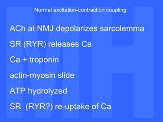 MH MH Normal excitation-contraction coupling ACh at NMJ depolarizes sarcolemma SR (RYR) releases Ca Ca + troponin actin-myosin slide ATP hydrolyzed SR  (RYR?) re-uptake of Ca 