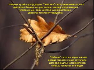 ...Намрын тухай шүлгүүдэд нь '"найгана" гэдэг хөдөлгөөнт үг их л
давтагдах бөгөөд энэ уян ялдам, зөөлөн үгээр намрын
улирлын мөн төрх хийгээд хүний сэтгэлийн
уярангуй гэгэлзээг тодруулна.
"Найгана' гэдэг нь харих цагийн
аясаар гэгэлзэх хүний сэтгэлийн
дотоод байдлыг илэрхийлэхэд
туйльш тохирсон үг байдаг.
 