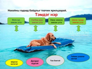 Нохойны гадаад байдлыг тоочин ярилцаарай.
                   Тэмдэг нэр
   Өнгө зүс     Хэлбэр дүрс   Овор хэмжээ    Шинж чанар
  заасан утга   заасан утга   заасан утга    заасан утга




                                            Тайван ухаалаг
                                            зантай
                Дугариг       Том биетэй
  Шаргал
  өнгөтэй       нүдтэй
 