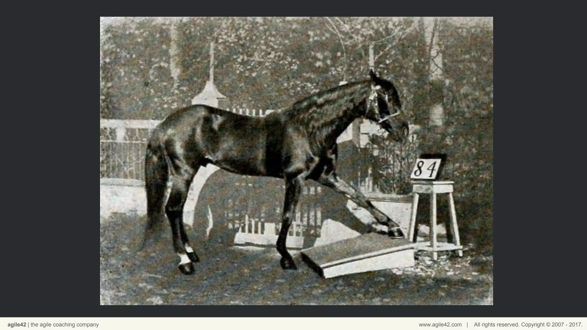 agile42 | the agile coaching company www.agile42.com | All rights reserved. Copyright © 2007 - 2017.
 