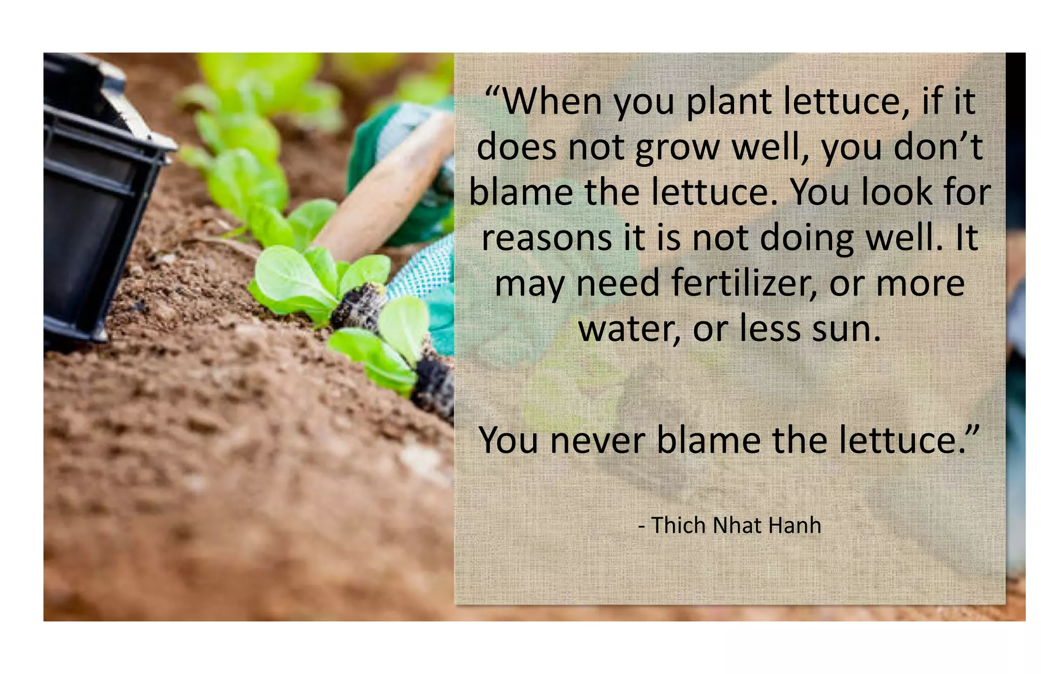 “When you plant lettuce, if it
does not grow well, you don’t
blame the lettuce. You look for
reasons it is not doing well. It
may need fertilizer, or more
water, or less sun.
You never blame the lettuce.”
- Thich Nhat Hanh
 
