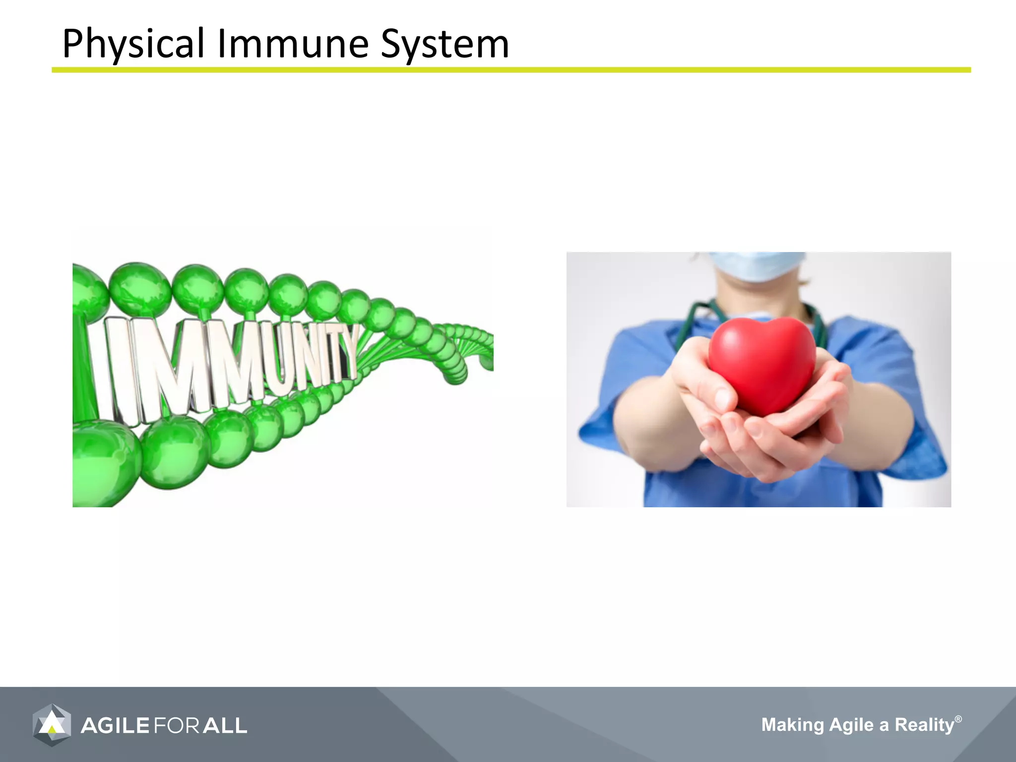 Making Agile a Reality®
Physical Immune System
 