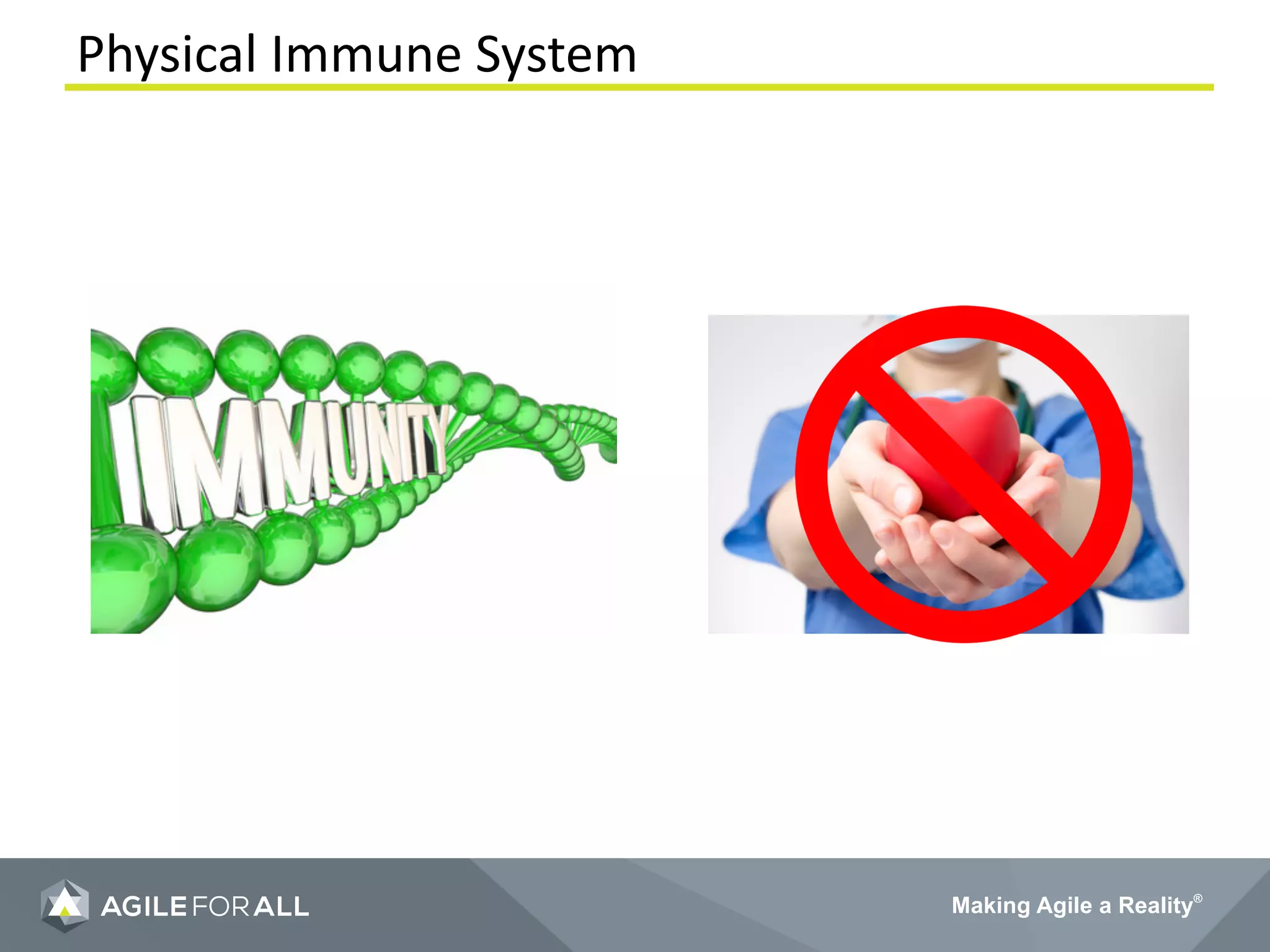 Making Agile a Reality®
Physical Immune System
 