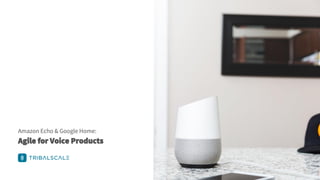 Amazon Echo & Google Home:
Agile for Voice Products
 