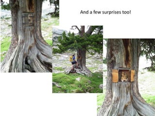 And a few surprises too!
 