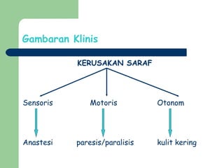 Gambaran Klinis
KERUSAKAN SARAF
Sensoris Motoris Otonom
Anastesi paresis/paralisis kulit kering
 