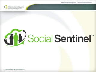 © Margolis Healy & Associates, LLC
 