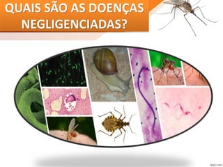 QUAIS SÃO AS DOENÇAS
NEGLIGENCIADAS?
 