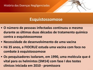 Esquistossomose
• O número de pessoas infectadas continuou o mesmo
durante as últimas duas décadas de tratamento químico
contra a esquistossomose
• Necessidade de desenvolvimento de uma vacina
• Há 35 anos, a FIOCRUZ estuda uma vacina com foco no
combate à esquistossomose
• Os pesquisadores isolaram, em 1990, uma molécula que é
vital para os helmintos (SM14) com fase I dos testes
clínicos iniciada em 2010 - promissora
História das Doenças Negligenciadas
 