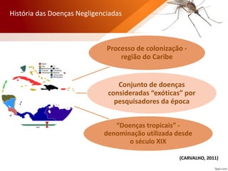 Processo de colonização -
região do Caribe
Conjunto de doenças
consideradas “exóticas” por
pesquisadores da época
“Doenças tropicais” -
denominação utilizada desde
o século XIX
História das Doenças Negligenciadas
(CARVALHO, 2011)
 