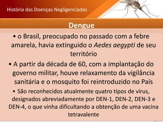 Dengue
• o Brasil, preocupado no passado com a febre
amarela, havia extinguido o Aedes aegypti de seu
território
• A partir da década de 60, com a implantação do
governo militar, houve relaxamento da vigilância
sanitária e o mosquito foi reintroduzido no País
• São reconhecidos atualmente quatro tipos de vírus,
designados abreviadamente por DEN-1, DEN-2, DEN-3 e
DEN-4, o que vinha dificultando a obtenção de uma vacina
tetravalente
História das Doenças Negligenciadas
 