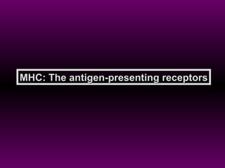 MHC: The antigen-presenting receptors 