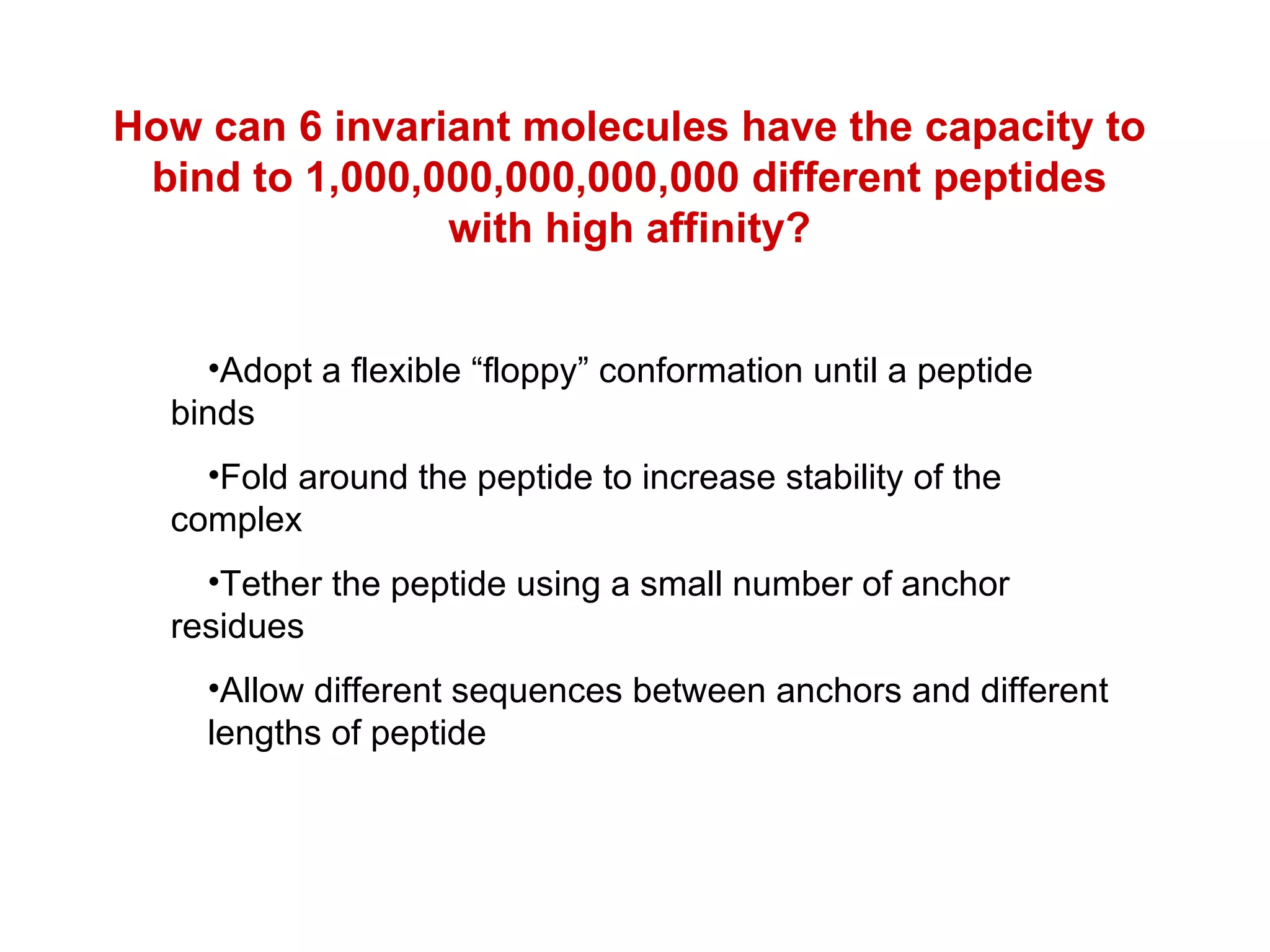 How can 6 invariant molecules have the capacity to bind to 1,000,000,000,000,000 different peptides with high affinity? Adopt a flexible “floppy” conformation until a peptide binds Fold around the peptide to increase stability of the  complex Tether the peptide using a small number of anchor  residues  Allow different sequences between anchors and different  lengths of peptide 