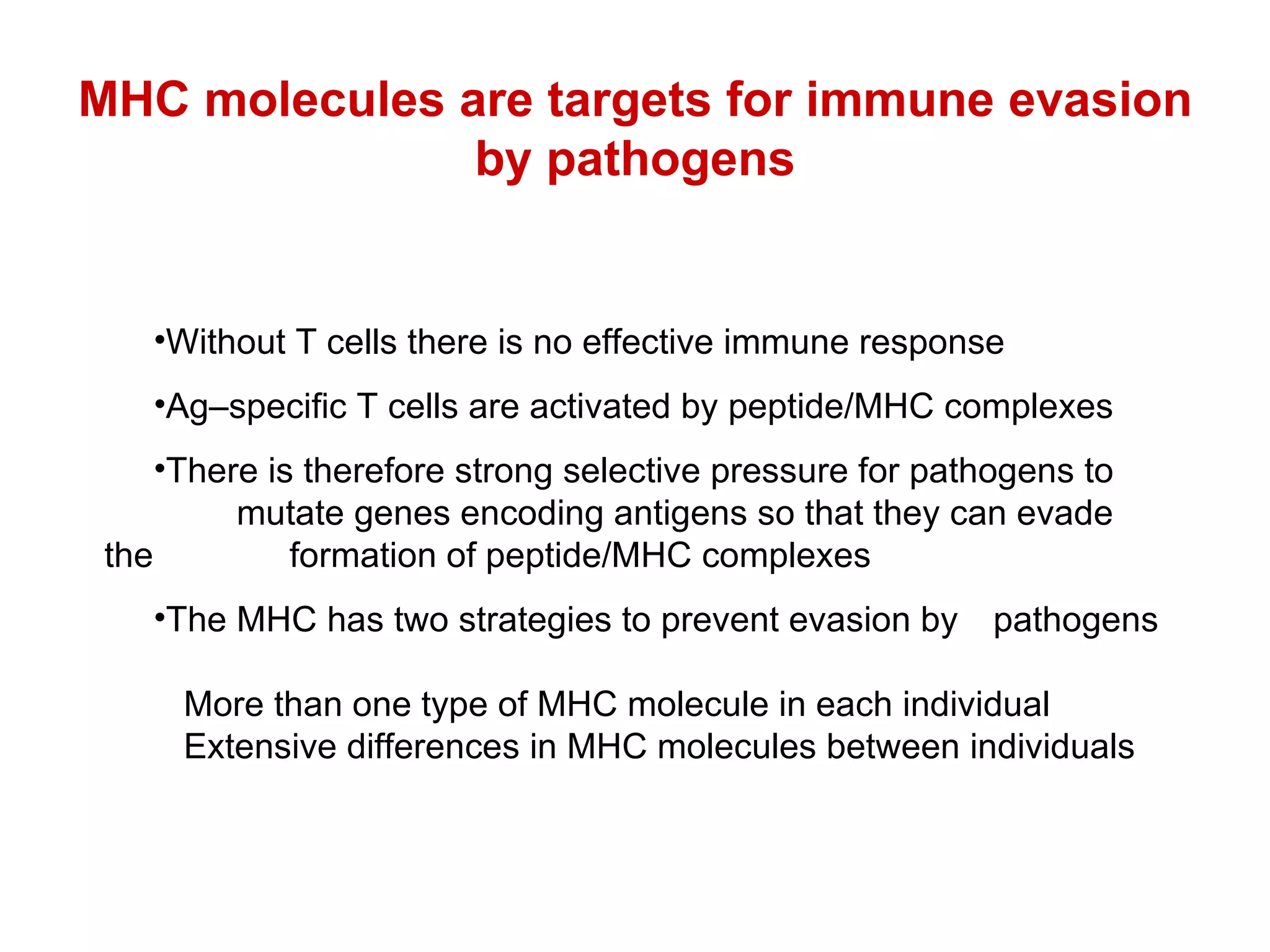 MHC molecules are targets for immune evasion by pathogens Without T cells there is no effective immune response Ag–specific T cells are activated by peptide/MHC complexes There is therefore strong selective pressure for pathogens to  mutate genes encoding antigens so that they can evade the  formation of peptide/MHC complexes The MHC has two strategies to prevent evasion by pathogens  More than one type of MHC molecule in each individual  Extensive differences in MHC molecules between individuals 