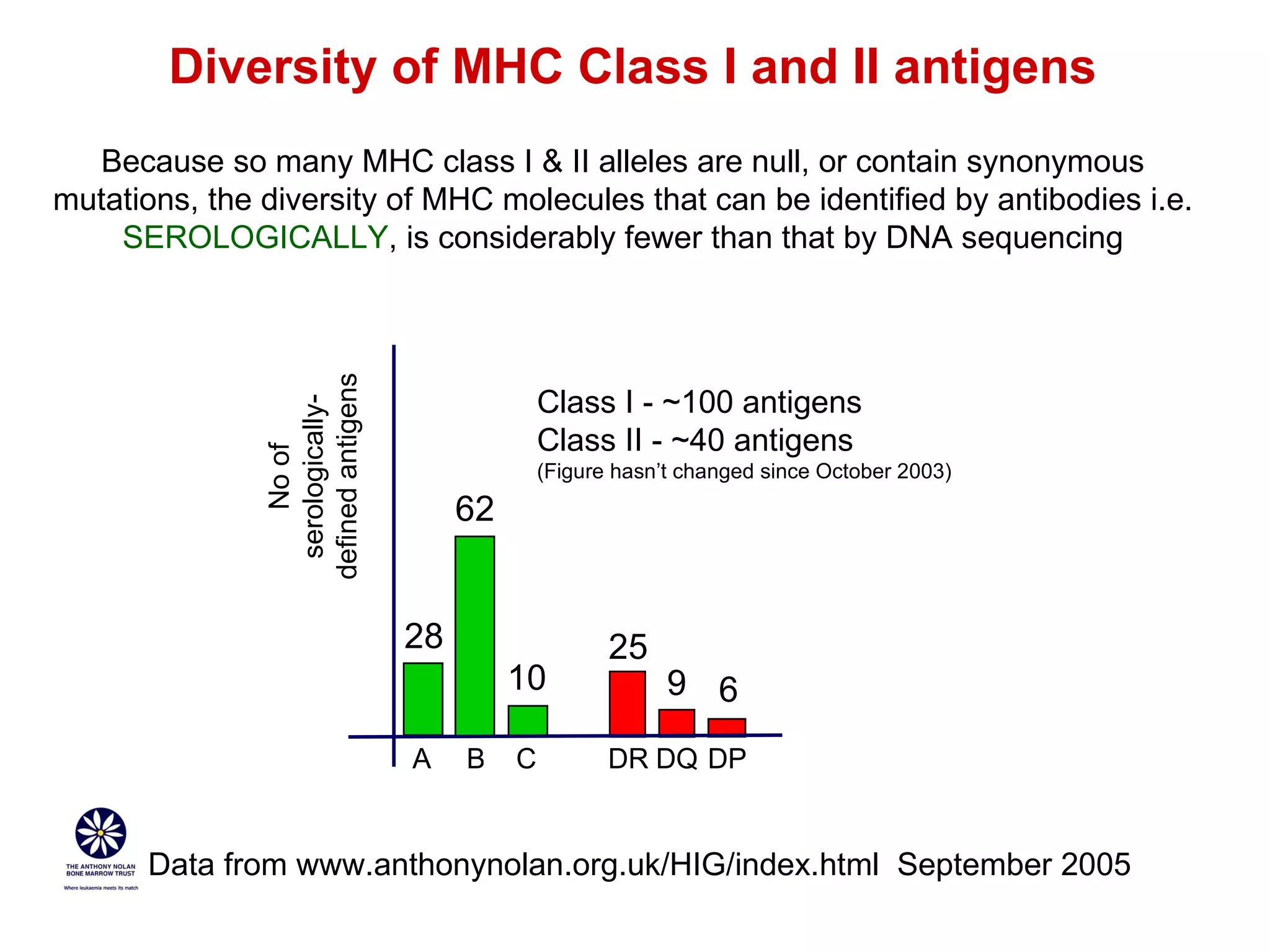Class I - ~100 antigens Class II - ~40 antigens (Figure hasn’t changed since October 2003) Diversity of MHC Class I and II antigens Because so many MHC class I & II alleles are null, or contain synonymous mutations, the diversity of MHC molecules that can be identified by antibodies i.e.  SEROLOGICALLY , is considerably fewer than that by DNA sequencing 28 62 9 6 25 10 A B DQ DP C DR No of serologically-defined antigens Data from www.anthonynolan.org.uk/HIG/index.html  September 2005 