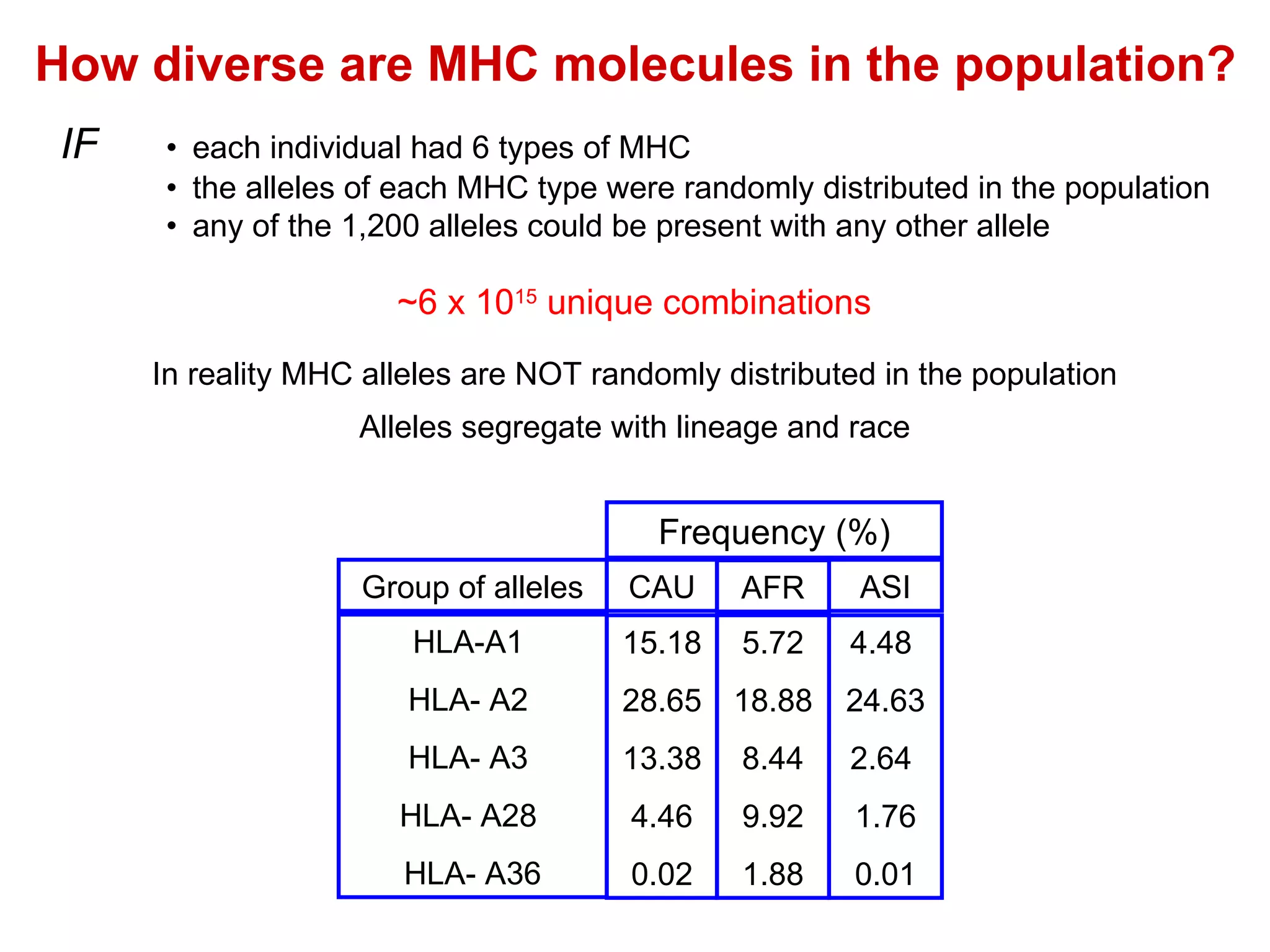 How diverse are MHC molecules in the population? ~6 x 10 15  unique combinations IF • each individual had 6 types of MHC • the alleles of each MHC type were randomly distributed in the population • any of the 1,200 alleles could be present with any other allele In reality MHC alleles are NOT randomly distributed in the population Alleles segregate with lineage and race 15.18 28.65 13.38 4.46 0.02 5.72 18.88 8.44 9.92 1.88 4.48  24.63 2.64  1.76 0.01 CAU AFR ASI Frequency (%) HLA-A1  HLA- A2  HLA- A3  HLA- A28  HLA- A36 Group of alleles 