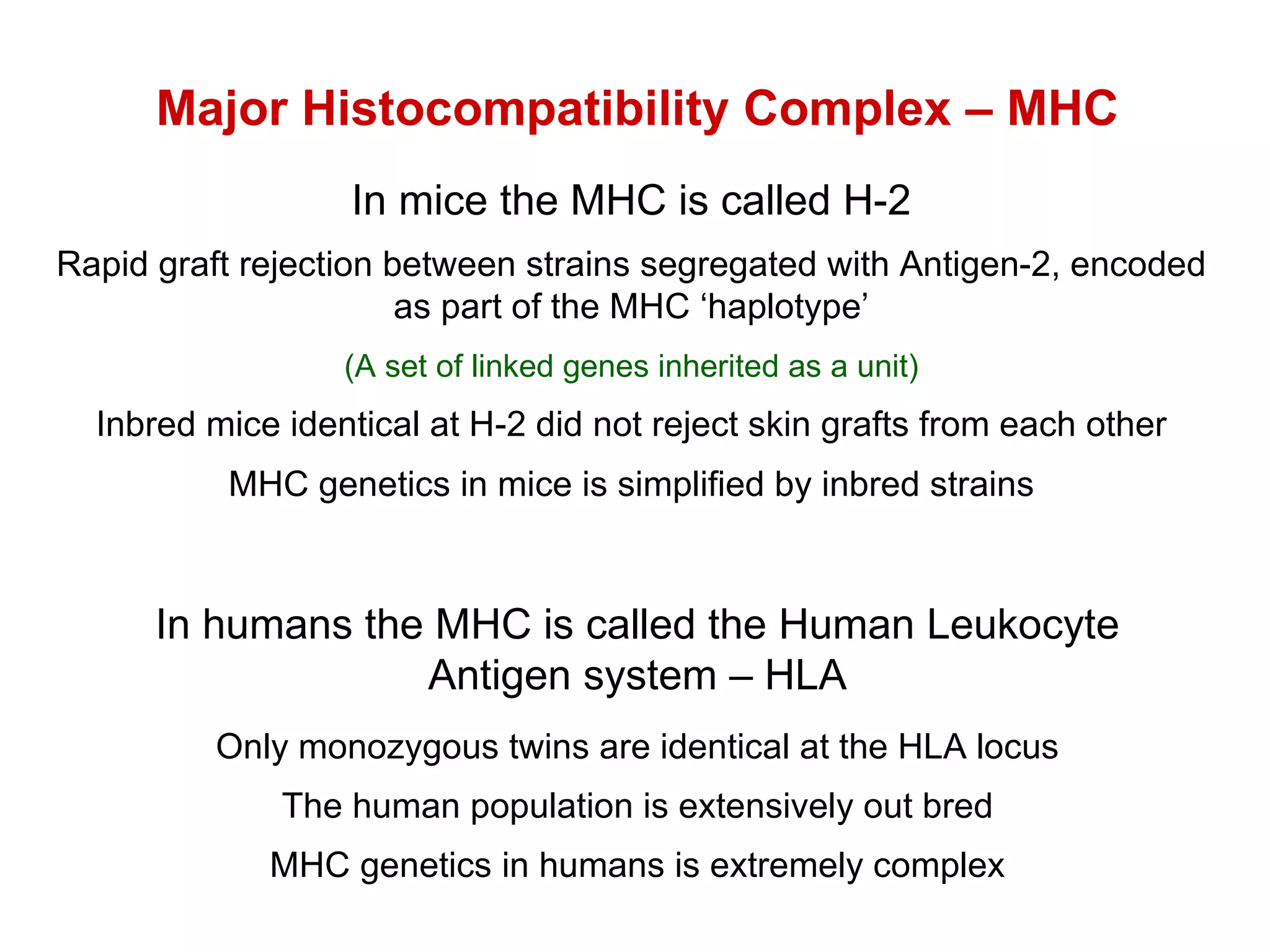 Major Histocompatibility Complex – MHC In humans the MHC is called the Human Leukocyte Antigen system – HLA Only monozygous twins are identical at the HLA locus The human population is extensively out bred MHC genetics in humans is extremely complex In mice the MHC is called H-2 Rapid graft rejection between strains segregated with Antigen-2, encoded as part of the MHC ‘haplotype’ (A set of linked genes inherited as a unit) Inbred mice identical at H-2 did not reject skin grafts from each other MHC genetics in mice is simplified by inbred strains 