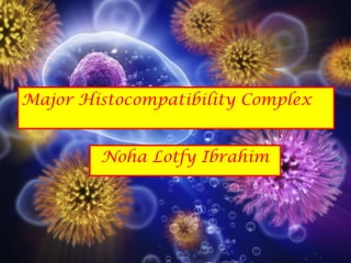 Major Histocompatibility Complex
Noha Lotfy Ibrahim
 