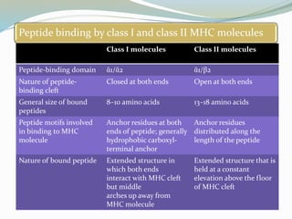 Peptide binding by class I and class II MHC molecules
Class I molecules Class II molecules
Peptide-binding domain ἃ1/ἃ2 ἃ1/β2
Nature of peptide-
binding cleft
Closed at both ends Open at both ends
General size of bound
peptides
8–10 amino acids 13–18 amino acids
Peptide motifs involved
in binding to MHC
molecule
Anchor residues at both
ends of peptide; generally
hydrophobic carboxyl-
terminal anchor
Anchor residues
distributed along the
length of the peptide
Nature of bound peptide Extended structure in
which both ends
interact with MHC cleft
but middle
arches up away from
MHC molecule
Extended structure that is
held at a constant
elevation above the floor
of MHC cleft
 