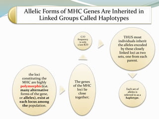 Allelic Forms of MHC Genes Are Inherited in
Linked Groups Called Haplotypes
the loci
constituting the
MHC are highly
polymorphic(i.e.
many alternative
forms of the gene,
or alleles), exist at
each locus among
the population.
The genes
of the MHC
loci lie
close
together;
C/O
frequency
is only
1/200 R/D
THUS most
individuals inherit
the alleles encoded
by these closely
linked loci as two
sets, one from each
parent.
Each set of
alleles is
referred to as a
haplotype.
 
