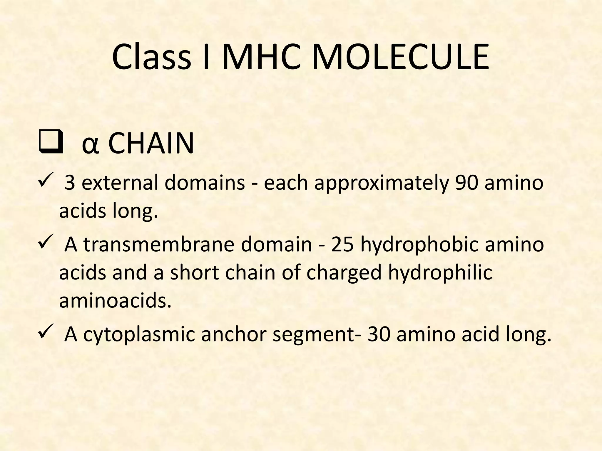 Class I MHC MOLECULE
 α CHAIN
 3 external domains - each approximately 90 amino
acids long.
 A transmembrane domain - 25 hydrophobic amino
acids and a short chain of charged hydrophilic
aminoacids.
 A cytoplasmic anchor segment- 30 amino acid long.
 