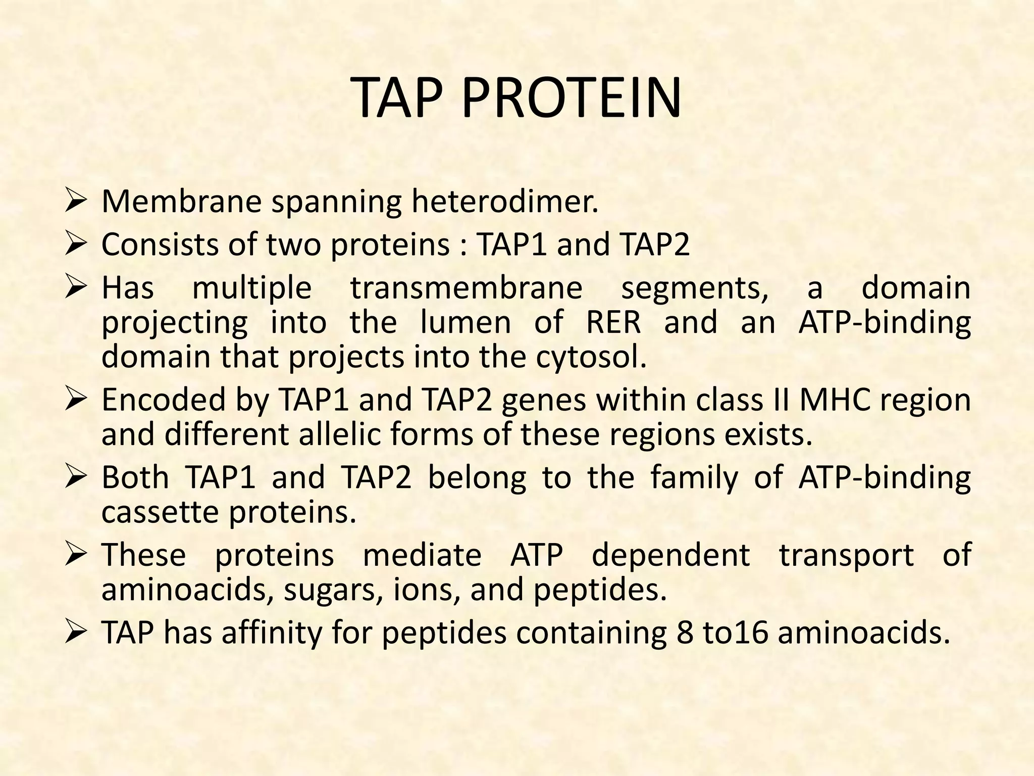 TAP PROTEIN
 Membrane spanning heterodimer.
 Consists of two proteins : TAP1 and TAP2
 Has multiple transmembrane segments, a domain
projecting into the lumen of RER and an ATP-binding
domain that projects into the cytosol.
 Encoded by TAP1 and TAP2 genes within class II MHC region
and different allelic forms of these regions exists.
 Both TAP1 and TAP2 belong to the family of ATP-binding
cassette proteins.
 These proteins mediate ATP dependent transport of
aminoacids, sugars, ions, and peptides.
 TAP has affinity for peptides containing 8 to16 aminoacids.
 