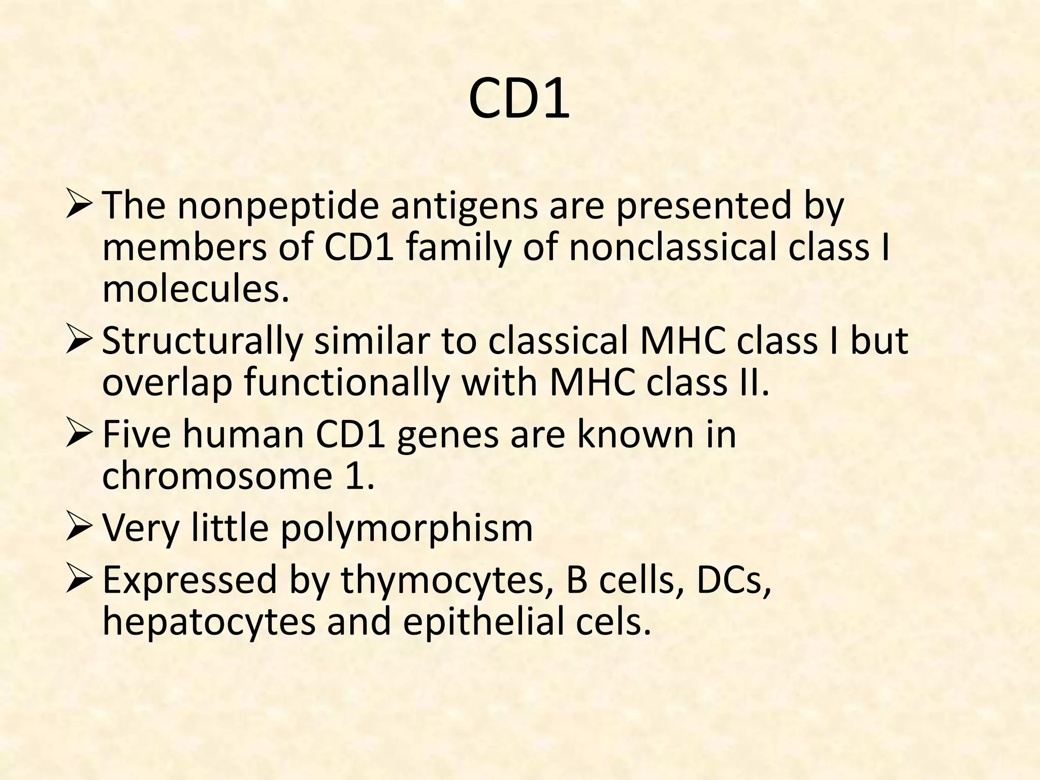 CD1
The nonpeptide antigens are presented by
members of CD1 family of nonclassical class I
molecules.
Structurally similar to classical MHC class I but
overlap functionally with MHC class II.
Five human CD1 genes are known in
chromosome 1.
Very little polymorphism
Expressed by thymocytes, B cells, DCs,
hepatocytes and epithelial cels.
 