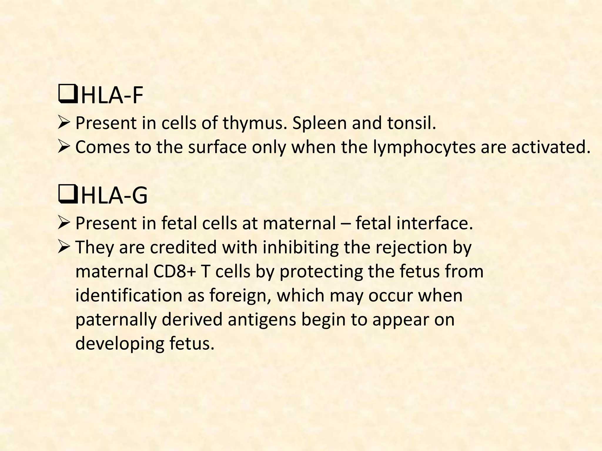 HLA-F
Present in cells of thymus. Spleen and tonsil.
Comes to the surface only when the lymphocytes are activated.
HLA-G
Present in fetal cells at maternal – fetal interface.
They are credited with inhibiting the rejection by
maternal CD8+ T cells by protecting the fetus from
identification as foreign, which may occur when
paternally derived antigens begin to appear on
developing fetus.
 
