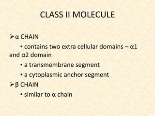 CLASS II MOLECULE
α CHAIN
▪ contains two extra cellular domains – α1
and α2 domain
▪ a transmembrane segment
▪ a cytoplasmic anchor segment
β CHAIN
▪ similar to α chain
 