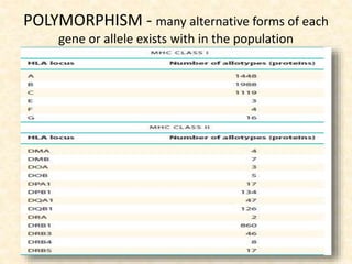 POLYMORPHISM - many alternative forms of each
gene or allele exists with in the population
• Many alternative forms of each allele exits in
the population.
 