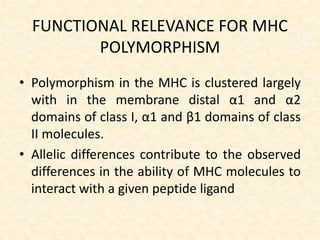 FUNCTIONAL RELEVANCE FOR MHC
POLYMORPHISM
• Polymorphism in the MHC is clustered largely
with in the membrane distal α1 and α2
domains of class I, α1 and β1 domains of class
II molecules.
• Allelic differences contribute to the observed
differences in the ability of MHC molecules to
interact with a given peptide ligand
 