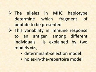  The alleles in MHC haplotype
determine which fragment of
peptide to be presented
 This variability in immune response
to an antigen among different
individuals is explained by two
models viz.,
▪ determinant-selection model
▪ holes-in-the-repertoire model
 