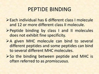 PEPTIDE BINDING
Each individual has 6 different class I molecule
and 12 or more different class II molecule.
Peptide binding by class I and II molecules
does not exhibit fine specificity.
A given MHC molecule can bind to several
different peptides and some peptides can bind
to several different MHC molecules.
So the binding between peptide and MHC is
often referred to as promiscuous.
 