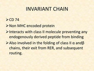 INVARIANT CHAIN
CD 74
Non MHC encoded protein
Interacts with class II molecule preventing any
endogenously derived peptide from binding
Also involved in the folding of class II α andβ
chains, their exit from RER, and subsequent
routing.
 